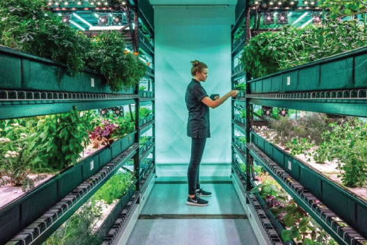 Hydroponic Farm Workshop