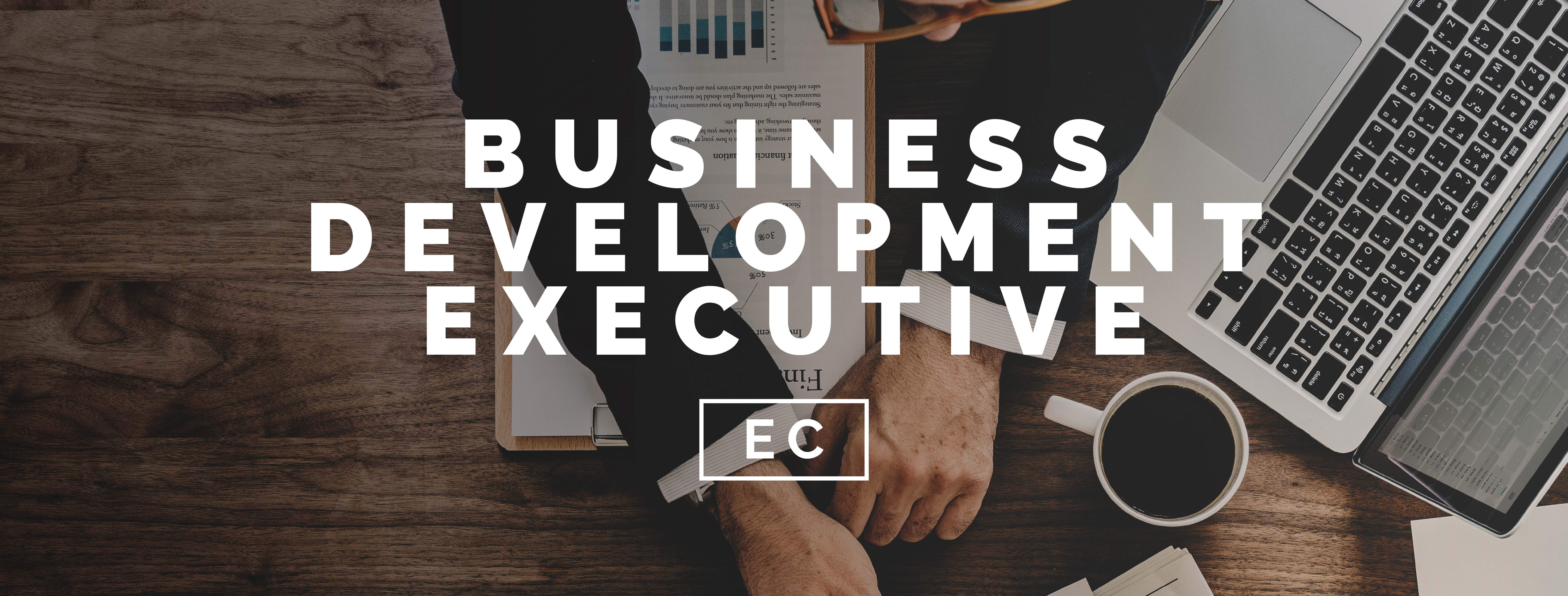 Business Development Executive