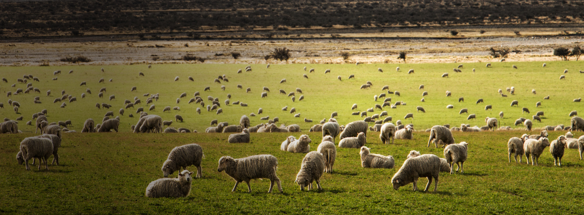 New Zealand