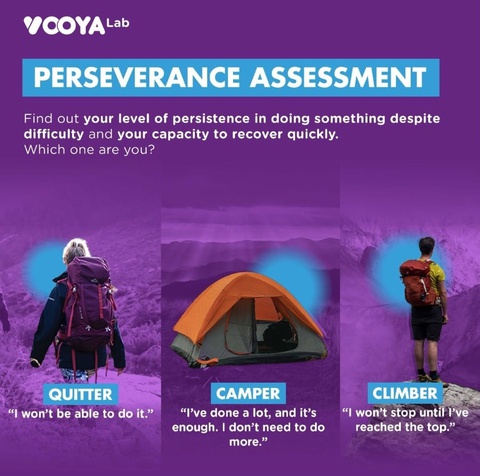 Passion Perseverance Assessment