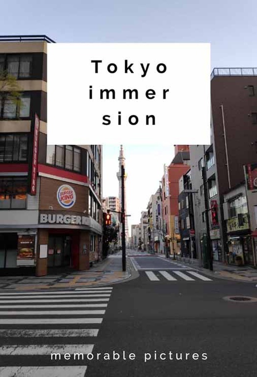UnlockingYou Project at Tokyo - BINUS 2019